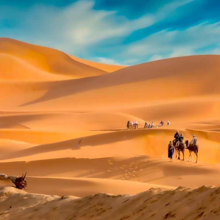 A camel caravan with riders trekking across the vast orange sand dunes of the Sahara Desert in Merzouga, Morocco.