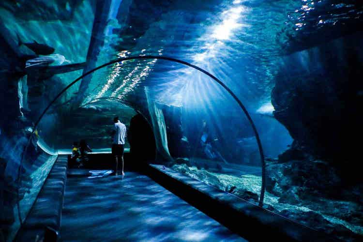 Visitors exploring Manila Ocean Park featuring colorful marine life, interactive aquarium exhibits, underwater tunnel, fascinating sea creatures, and family entertainment.