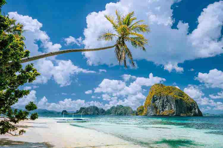 Pristine tropical beach with golden sand, crystal-clear turquoise waters, swaying palm trees, peaceful shoreline, sunny skies, and relaxing coastal scenery.