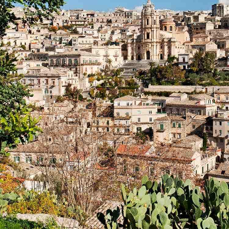 A daytime view of the historic town of Modica, Sicily, highlighting the Baroque Cathedral of San Giorgio framed by cacti.